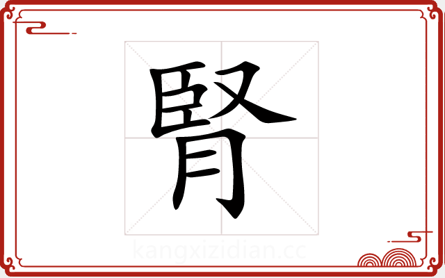 腎 腎