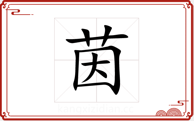 茵 茵