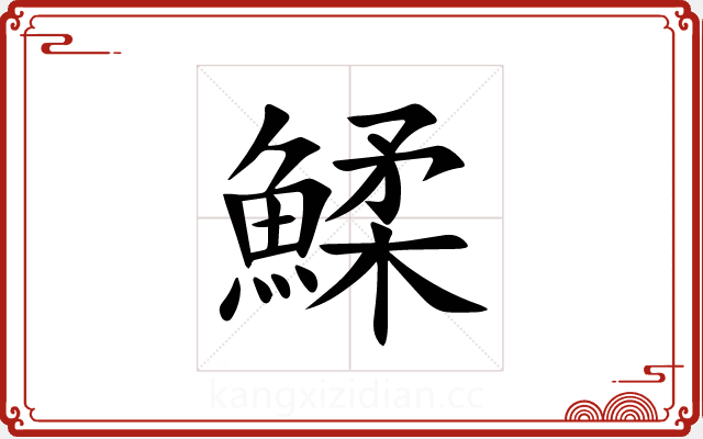 鰇 鰇